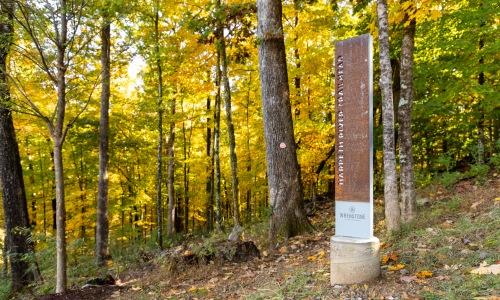 Pet-Friendly Living Cover Image